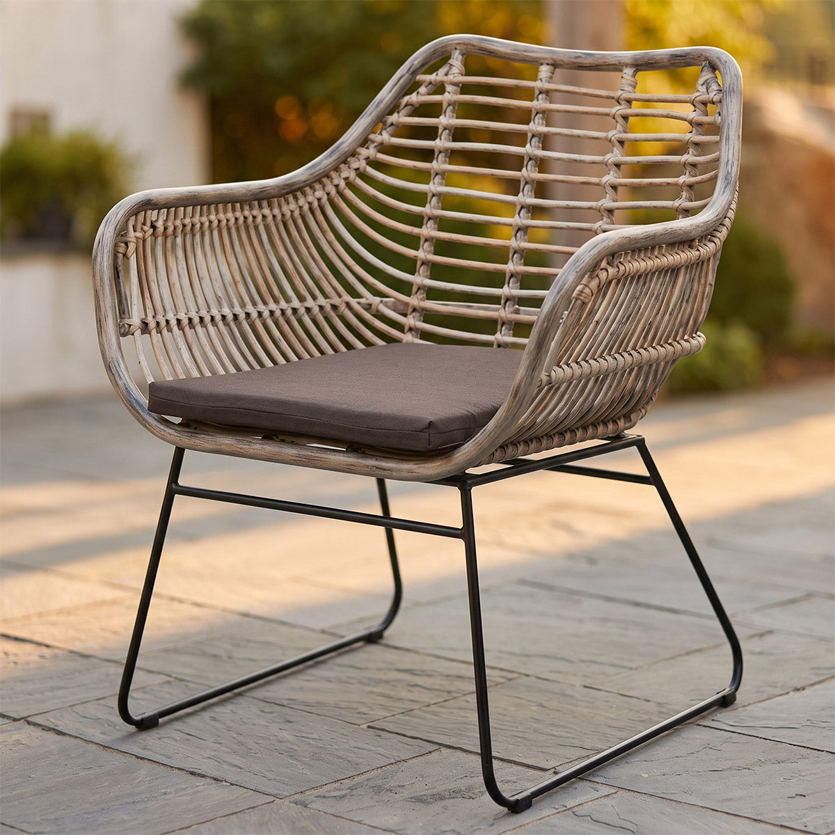 Digital Illustration Of The Rattan Garden Chair