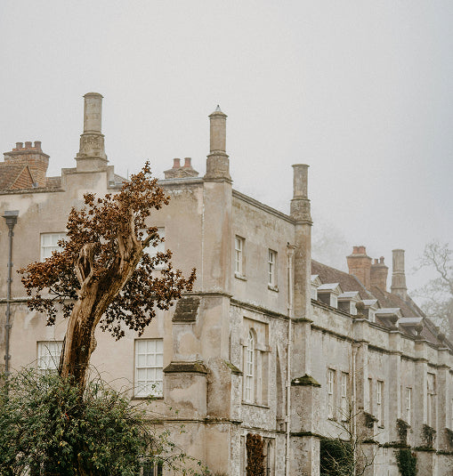 Georgian Manor  Restoration 4